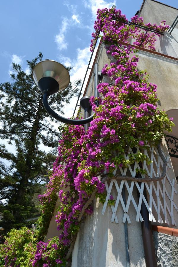 צ'טארה Casa Vacanze Bouganvillea מראה חיצוני תמונה