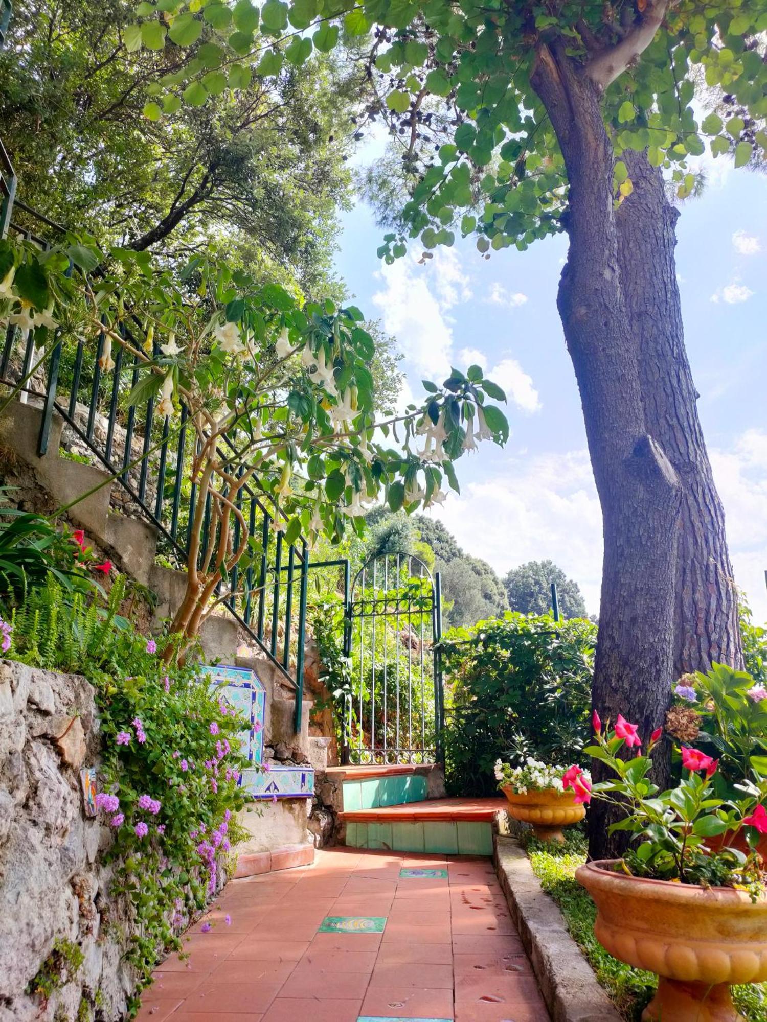 צ'טארה Casa Vacanze Bouganvillea מראה חיצוני תמונה
