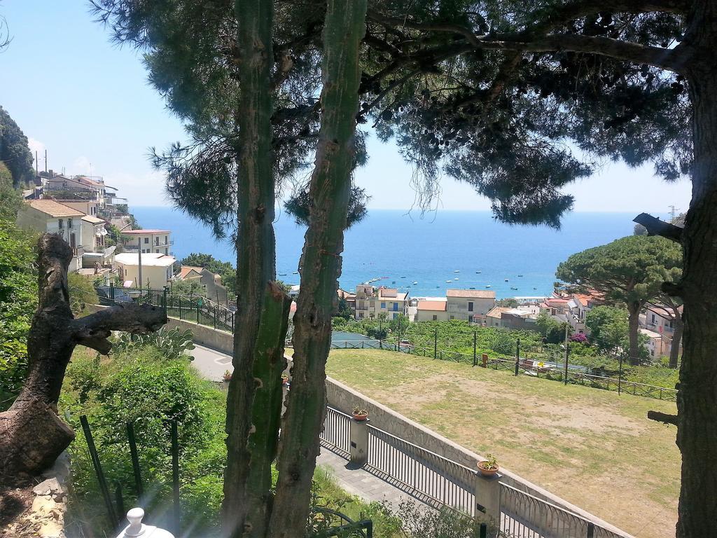 צ'טארה Casa Vacanze Bouganvillea מראה חיצוני תמונה