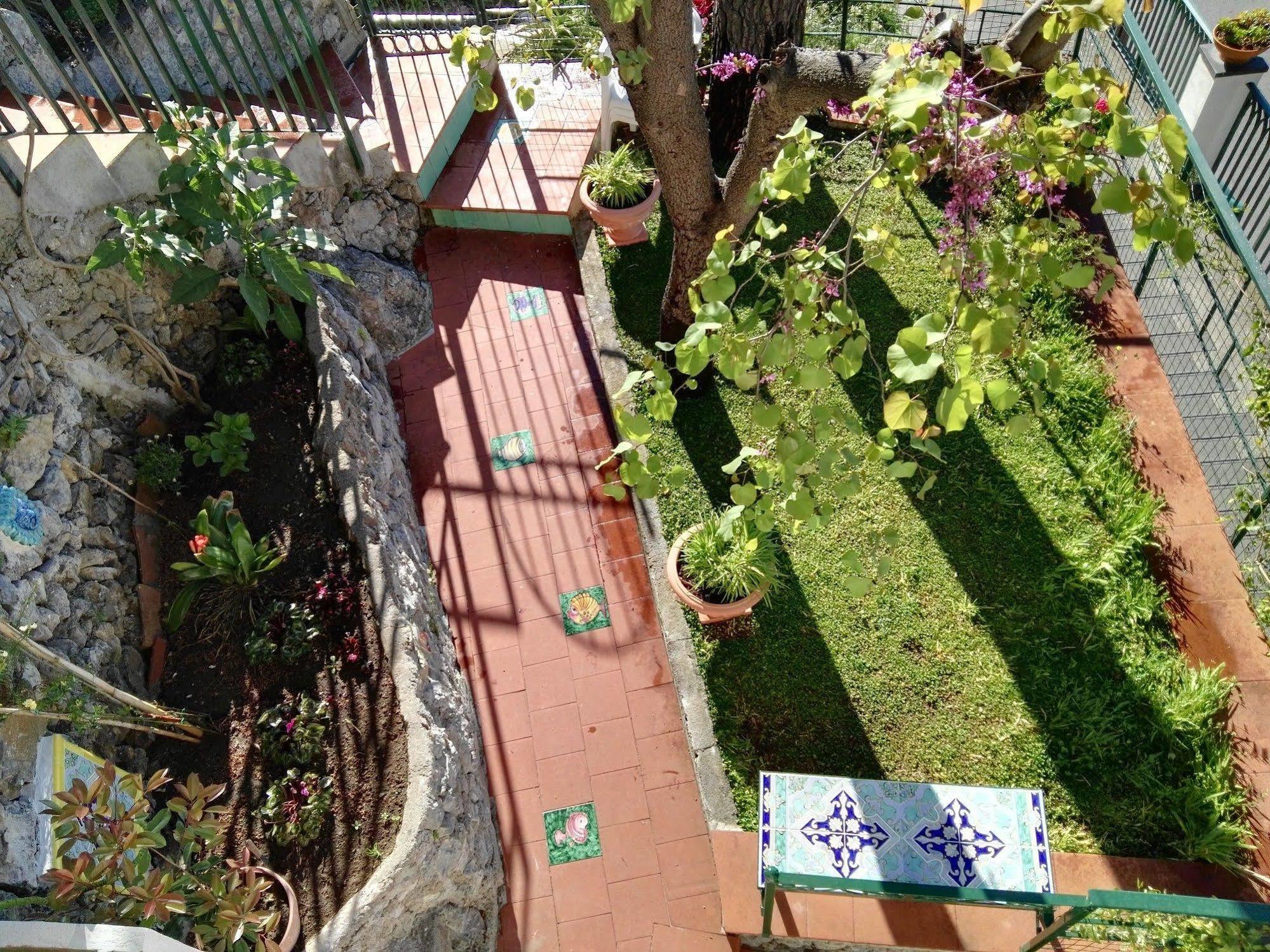 צ'טארה Casa Vacanze Bouganvillea מראה חיצוני תמונה